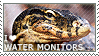 I like Monitor Lizards